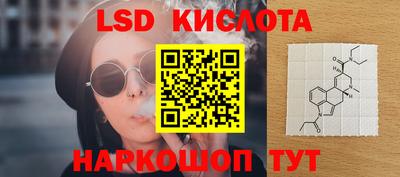 шишки Сланцы