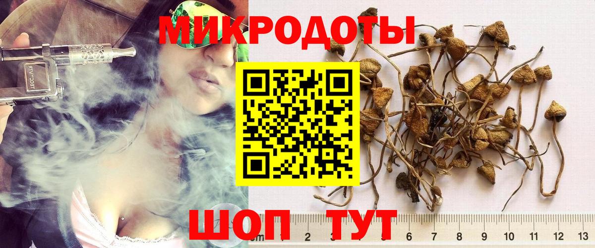 Псилоцибиновые грибы Cubensis Орехово-Зуево